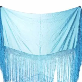 Antique Pale Aqua Silk Shawl Fringe 1920S