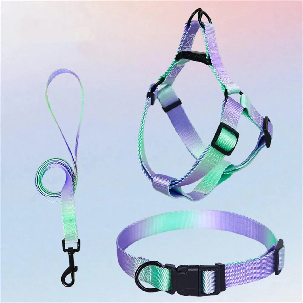 Colorful Gradient Dog Traction Rope and Chest Harness - Anti-Breakaway Design