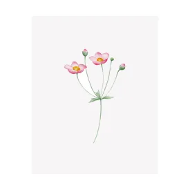 Floral Print- Japanese Anemone